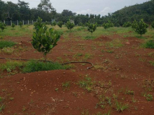 Lô góc 2 mặt tiền  Dtich 1 mẩu đường betong , điện nước đầy đủ