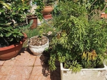 Đất Nền Ven Thành Phố Cần Đước Long An