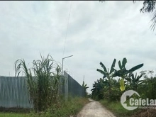 Cấn Bán Đất Thổ Cư Chính Chủ 300m2 Gần KCN Cầu Tràm(Thương Lượng)