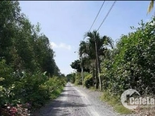 Bán 2 lô đất giá đầu tư mặt tiền ở Tân Lân Cần Đước Long An