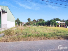 Bán đất thổ xã long sơn cần đước