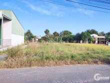 Bán đất thổ xã long sơn cần đước