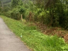 Cần ra vườn  Đoàn Kết - Đạ Huoai - LĐ. mặt tiền đường nhựa trên 68 m Dt: 1.4 hé