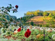 Cần bán nhà vùng ven trực thuộc tp Đà Lạt. + Địa chỉ Trạm Hành, xã Xuân Trường,