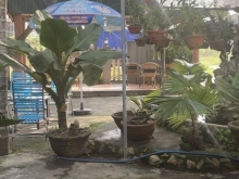 Bà chị gái cần tiền nhờ bán nhanh lô đất