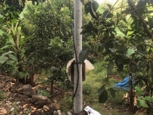 Chủ gửi bán 4.6 sào đất rẫy,trên đất đang trồng chuối,bơ,mít và chôm chôm