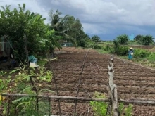 BÁN NỀN GIÁ RẺ ẤP XÓM LẪM XÃ HIỆP THÀNH TP BẠC LIÊU