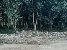 Chủ gửi bán 1,1 ha đất Xã Hô Nai 3. Huyện Trảng Bom