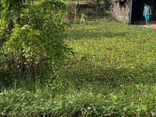 Nền Đẹp ,Giá Rẻ Sóc Đồn ,Hưng Hội ,Vĩnh Lợi ,Bạc Liêu !