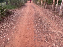 2 mẫu đất xoài đang thu hoạch Đất Xuân Hưng 1xx/1 xào