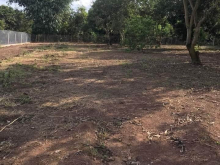 Cần bán GẤP 3 lô đấy 5x30m liền kề