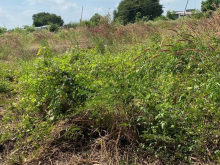 Bán lô 1 sào có 16m mặt tiền ở xuân thọ,ngay đừờg thọ chánh, thọ tân đi vào 500m