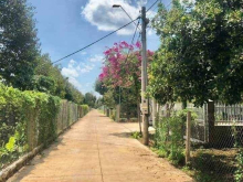 Chính chủ cần tiền bán gấp 2 nền đất liền kề tại xã Bảo Hòa, Xuân Lộc,DN.