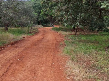 Chủ kẹt tiền cần bán nhanh trả nợ ngân hàng