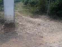 250TR/SÀO SUỐI CAO XUÂN LỘC CÁCH NHỰA XUÂN THÀNH XUÂN