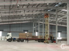 Bán đất làm dự án, nhà xưởng, Thạnh Lợi, Bến Lức 6 tỷ/ha