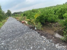 Đất vườn 1000mv chủ ngộp thở cần ra gấp