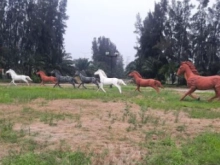 KHU NHÀ VƯỜN NẰM NGAY TRUNG TÂM THỊ TRẤN BẾN LỨC