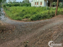 133m2 Thổ Cư Ngay Khu Dân Cư Đông Đúc Đường Trước Đất 11m Cách 816 Chỉ 300m Bình