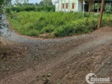 133m2 Thổ Cư Ngay Khu Dân Cư Đông Đúc Đường Trước Đất 11m Cách 816 Chỉ 300m Bình