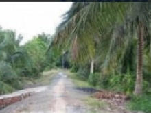 Bán nền thổ cư 218m2 xã Bình Đức, MT Sông Vàm Cỏ Đông Giá 1,2 tỷ đồng