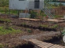 Bán đất 1010 m2 tại Bến Lức Long An cần bán gấp