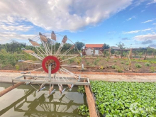 CẦN BÁN NHÀ VƯỜN 3 sào thổ cư-EAKAO-DAKLAK