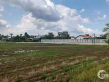 Bán 5.200m2 đất lúa, cho lên full thổ cư/mặt tiền Tỉnh lộ 830 - Long Sơn. Giá 3t