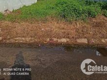 Kẹt nợ do dịch em cần ra đi miếng đất gấp