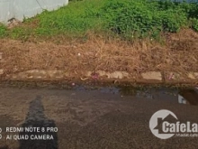 Kẹt nợ do dịch em cần ra đi miếng đất gấp