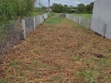 Cần bán MT Trần Văn Thôi, Mỹ Lộc, 146m2 Thổ cư