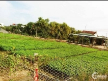 Đất vườn nghĩ dưỡng 1000 m2 ( 21x 48m) mỹ lộc, cần giuộc - Cần bán gấp