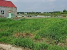 Bán đất thổ cư Cần Giuộc, Long An. đang rất ngộp mọi người ơi.