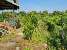 BÁN ĐẤT VƯỜN GẦN UBND XÃ HÒA AN, TP. CAO LÃNH.