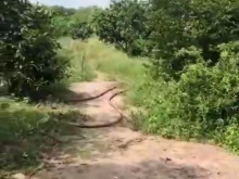 VĨNH THANH - NHƠN TRẠCH - ĐN Giá công khai: 3,1tỷ/2000m2