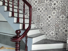 HÀ TRỆT - LỬNG MỚI  HẺM NGUYỄN VĂN THIỆT PHƯỜNG 3