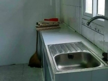 BÁN NHÀ P8 , NHỎ VỪA XÀI, XINH, NHÀ TRỐNG