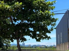 Đất đã xây móng kiên cố chịu tải 4 tầng.