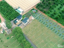 Eden Hills - Đất Nền Nghỉ Dưỡng ven Đà Lạt Sổ Hồng Riêng từng nền.