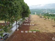 Đất nền biệt thự nghỉ dưỡng Eden Hills Đà Lạt pháp lý hoàn thiện giá 4.5tr/m2