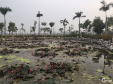 Đất 85m² Khu vực Trung Tâm Thị xã Mỹ Hào giá 2,x