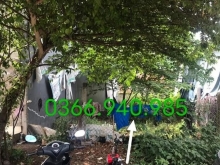 Bán nhanh lô đất cách chợ Lò Rèn Đập Đá An Nhơn khhu vị trí đắc địa cho ac