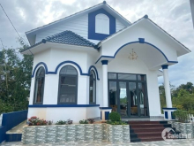 Bán Biệt thự sân vườn 19 x24 có 137m thổ cư