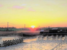 Bán gấp giá rẻ đất trang trại 51.244m2, Bình Đại, Bến Tre