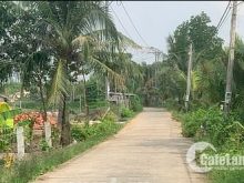 Đất vườn và ao tôm 180m mặt tiền Hẻm 4m cách lộ Đan 30m