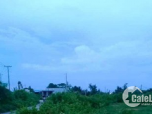 Bán đất trồng cây lâu năm sẵn nền - thích hợp định cư lâu dài hoặc đầu tư