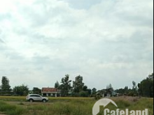 Đất lúa xã long hưu tây mặt tiền đường xe hơi cần bán