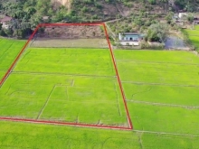 Chính chủ cần bán nhanh lô đất diện tích 5,2sào có giá 900tr thương lượng