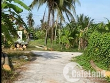 Gan 7.5cong dat mat tien 5m cach hl 173 chi 30m