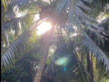 Bán đất công mặt tiền đường 5m